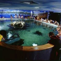 Tropicarium - A cápás állatkert