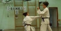Genki Wado Karate és Szabadidősport Egyesület - Angyalföld