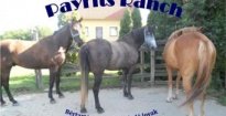 Payrits Ranch